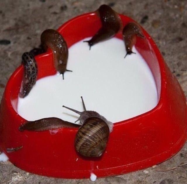 What Is Going On Here? (18 pics)