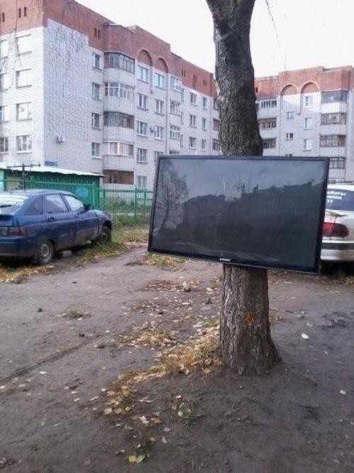 What Is Going On Here? (18 pics)