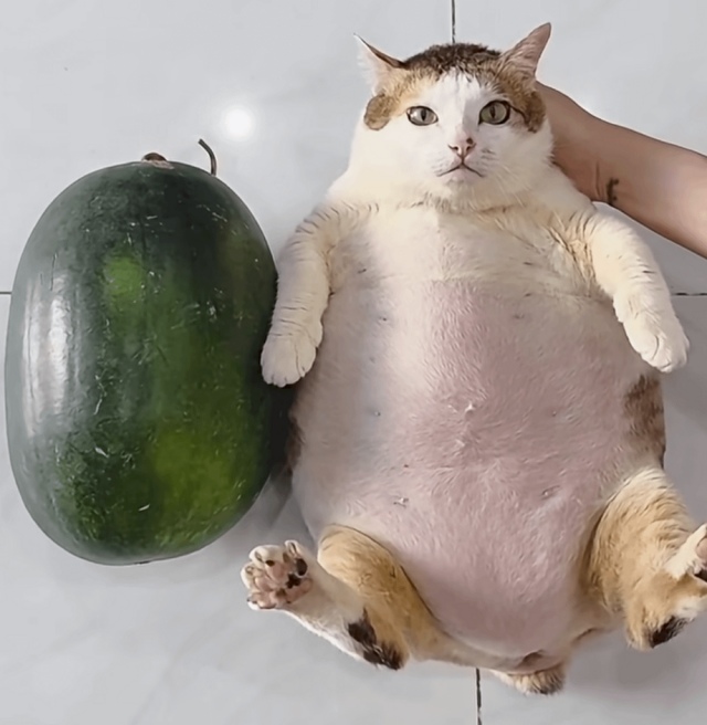 What Is Going On Here? (18 pics)