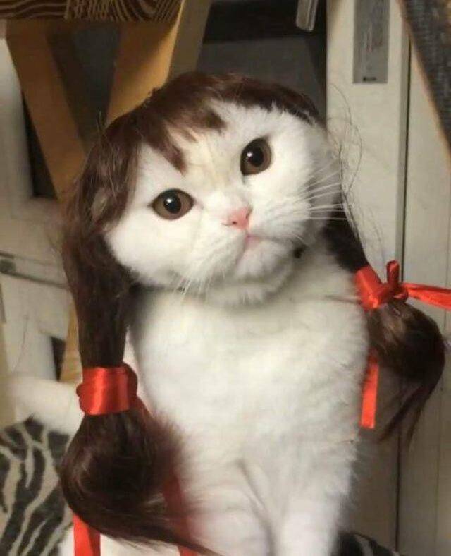 Daily Pictures. Part 1 (84 pics)