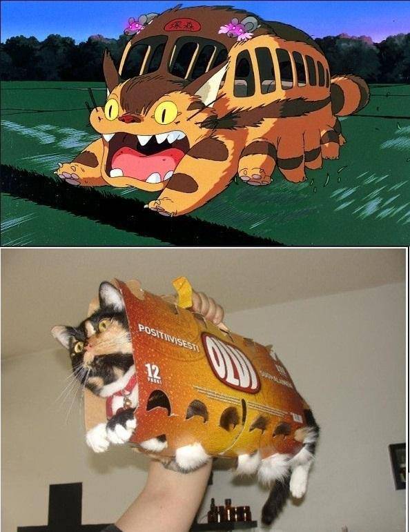 Daily Pictures. Part 2 (83 pics)
