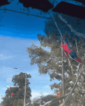 Acid GIFs, August 25 (25 gifs)