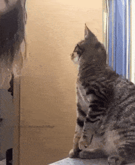 Acid GIFs, August 25 (25 gifs)