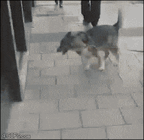 Acid GIFs, August 25 (25 gifs)