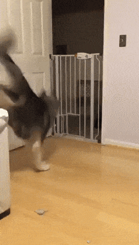 Acid GIFs, August 25 (25 gifs)