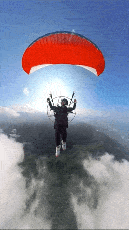 Acid GIFs, August 25 (25 gifs)