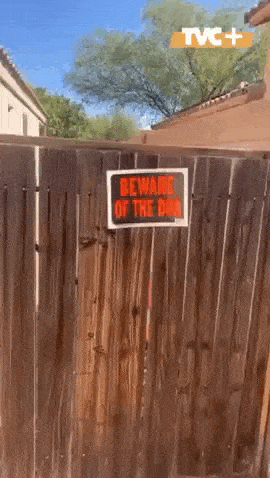 Acid GIFs, August 25 (25 gifs)