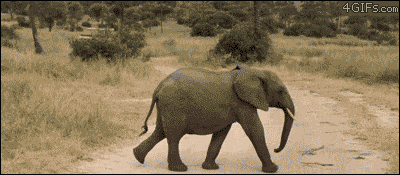 Acid GIFs, August 25 (25 gifs)