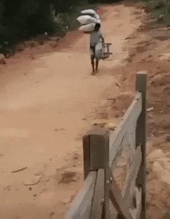 Acid GIFs, August 25 (25 gifs)