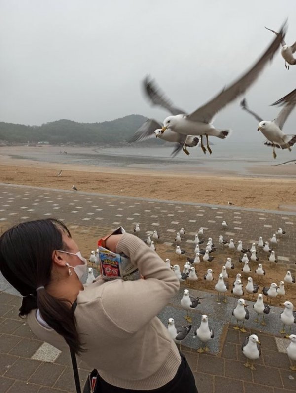 Right Moment (15 pics)