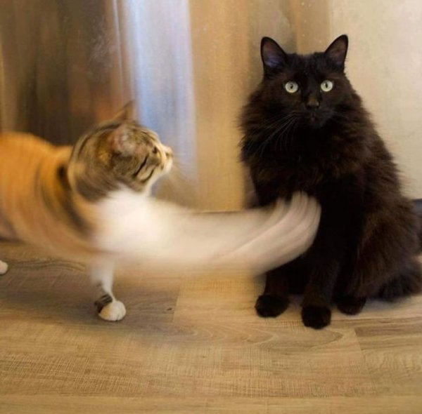 Right Moment (15 pics)