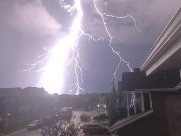 Right Moment (15 pics)