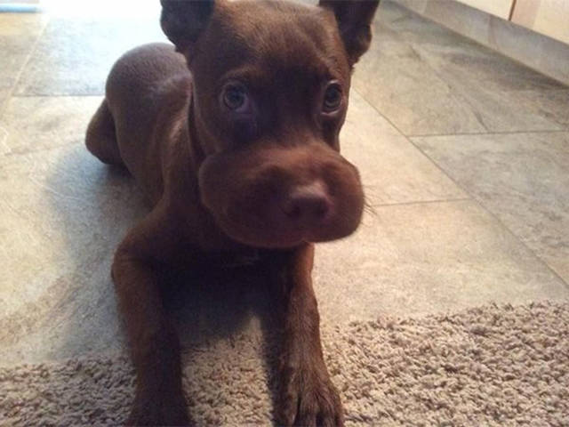 Unfortunate Situations (25 pics) Unfortunate Situations (25 pics)