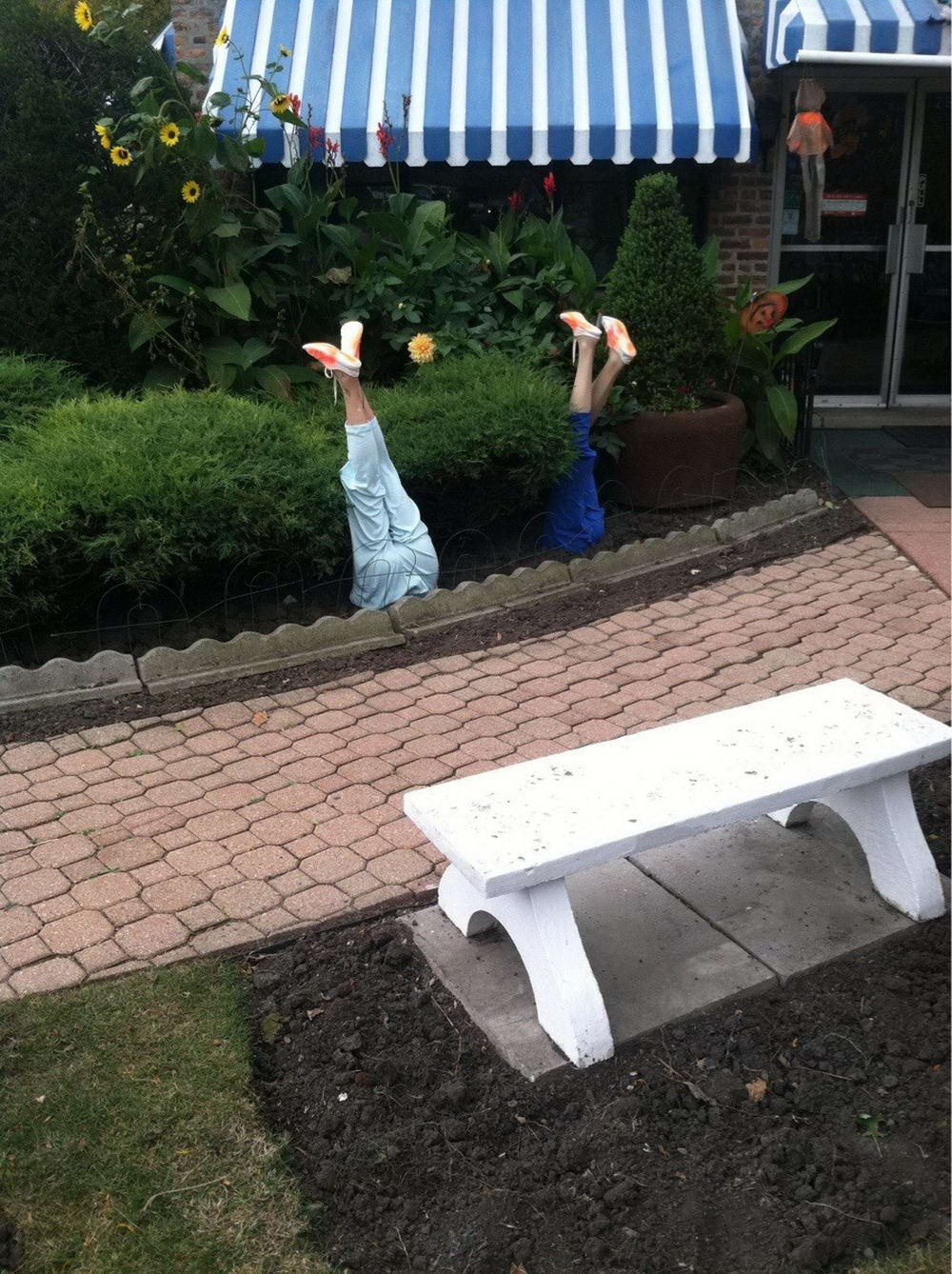Daily Pictures. Part 1 (84 pics)