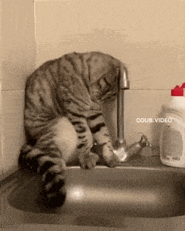 Acid GIFs, August 26 (25 gifs)