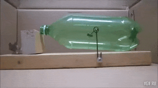 Acid GIFs, August 26 (25 gifs)
