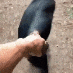 Acid GIFs, August 26 (25 gifs)