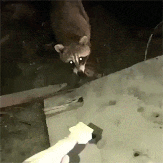 Acid GIFs, August 26 (25 gifs)