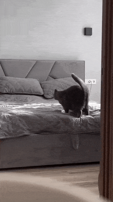 Acid GIFs, August 26 (25 gifs)