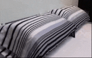 Acid GIFs, August 26 (25 gifs)