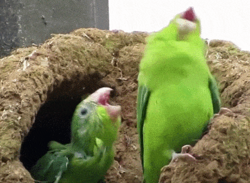 Acid GIFs, August 26 (25 gifs)