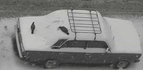 Acid GIFs, August 26 (25 gifs)