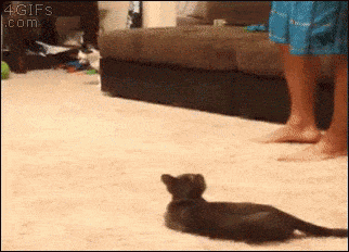 Acid GIFs, August 26 (25 gifs)