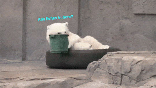 Acid GIFs, August 26 (25 gifs)