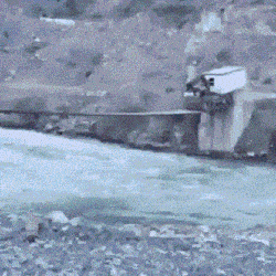 Acid GIFs, August 26 (25 gifs)