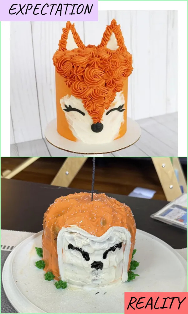 Expectations Against Reality (23 pics) Expectations Against Reality (23 pics)
