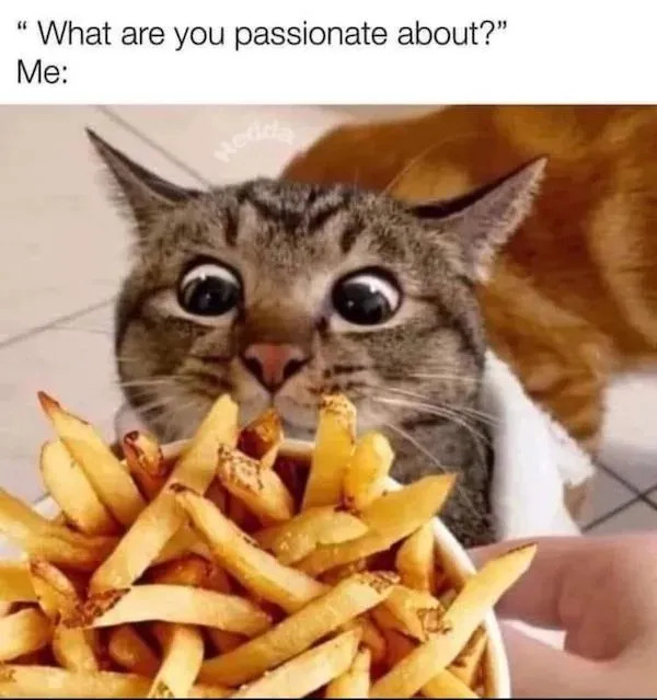 Funny Memes (17 pics)
