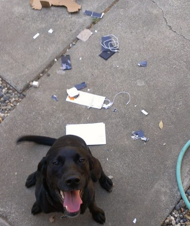 Unfortunate Situations (27 pics)