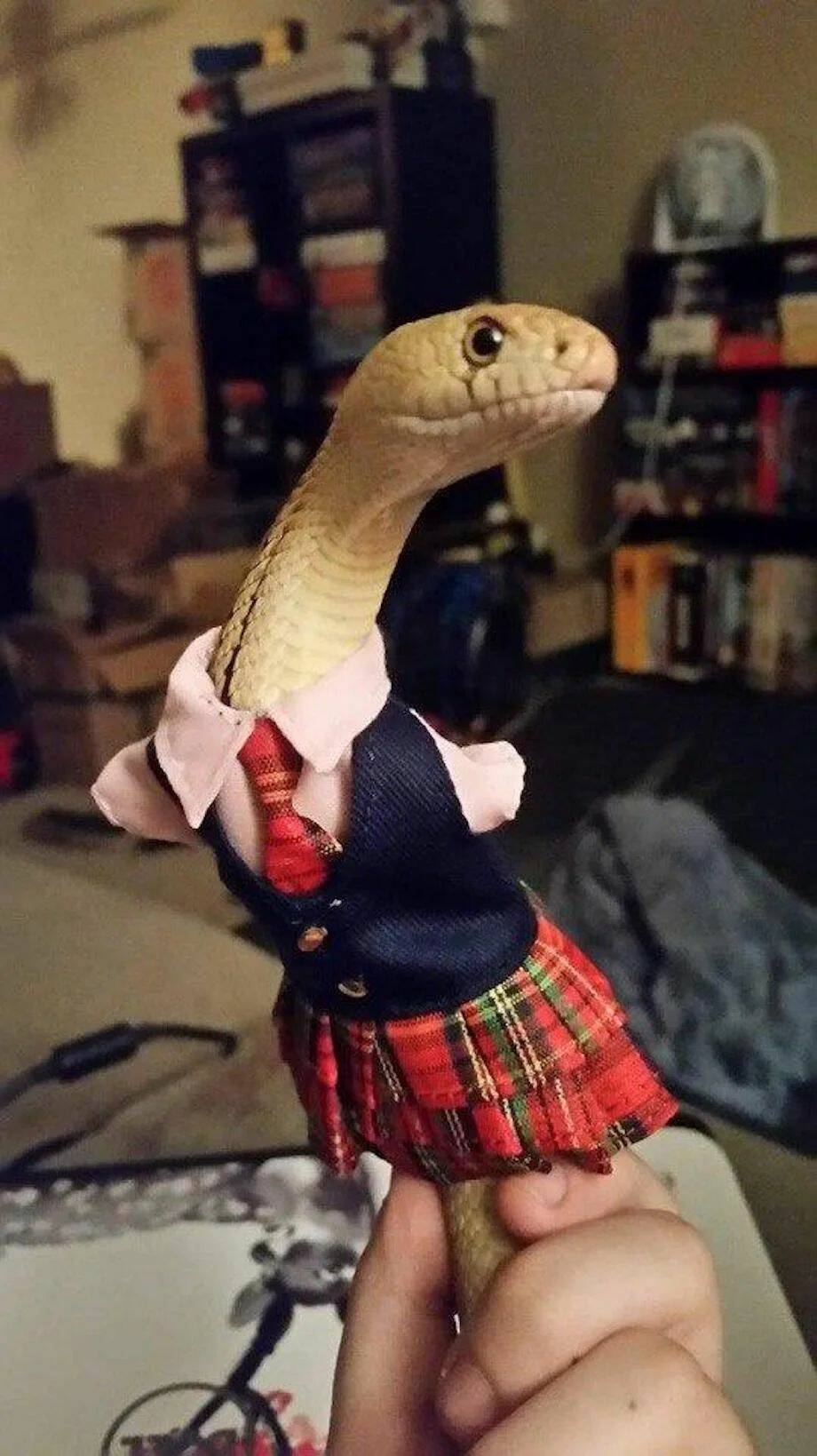 Daily Pictures. Part 1 (89 pics)