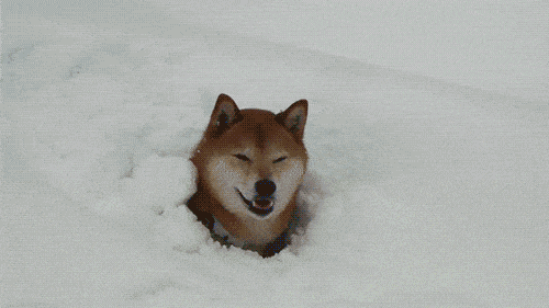 Acid GIFs, August 27 (25 gifs)