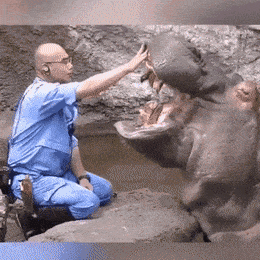 Acid GIFs, August 27 (25 gifs)