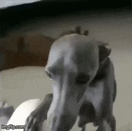 Acid GIFs, August 27 (25 gifs)