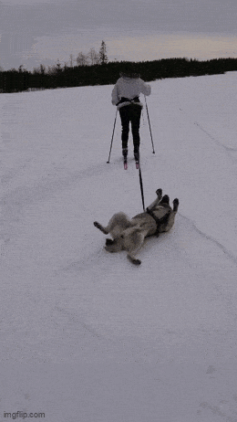 Acid GIFs, August 27 (25 gifs)