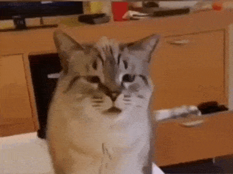 Acid GIFs, August 27 (25 gifs)