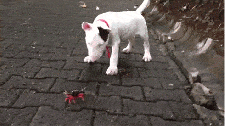 Acid GIFs, August 27 (25 gifs)