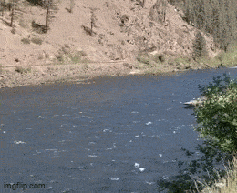 Acid GIFs, August 27 (25 gifs)