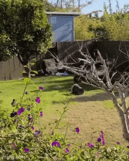 Acid GIFs, August 27 (25 gifs)