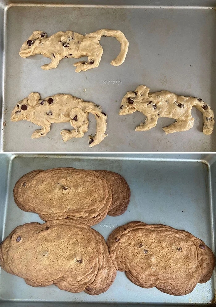 Culinary Fails (25 pics) Culinary Fails (25 pics)