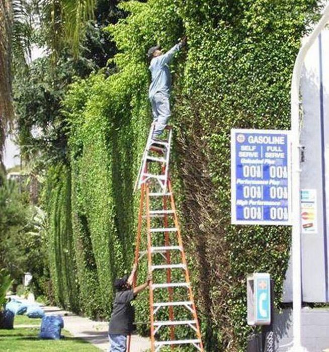 They Don't Care About Safety (29 pics)