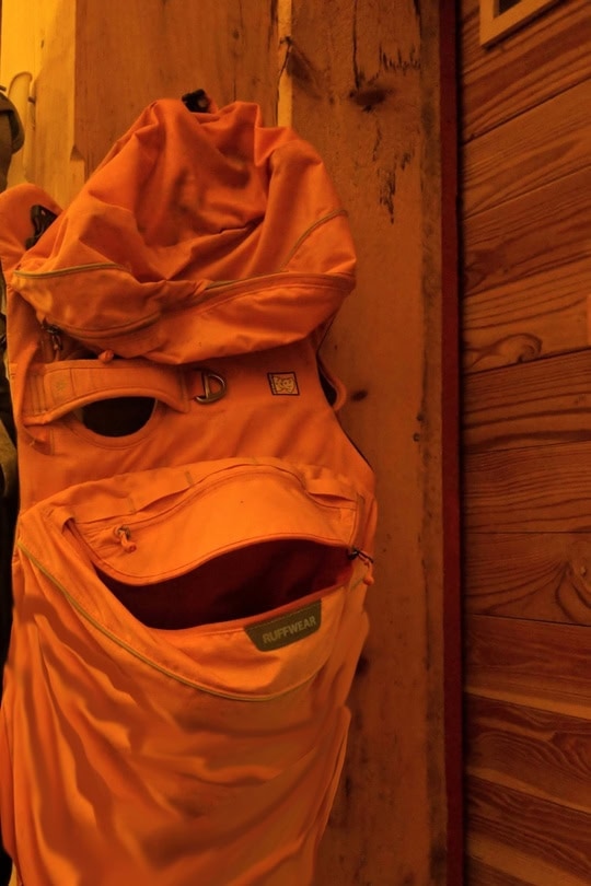 This Is Pareidolia (17 pics) This Is Pareidolia (17 pics)