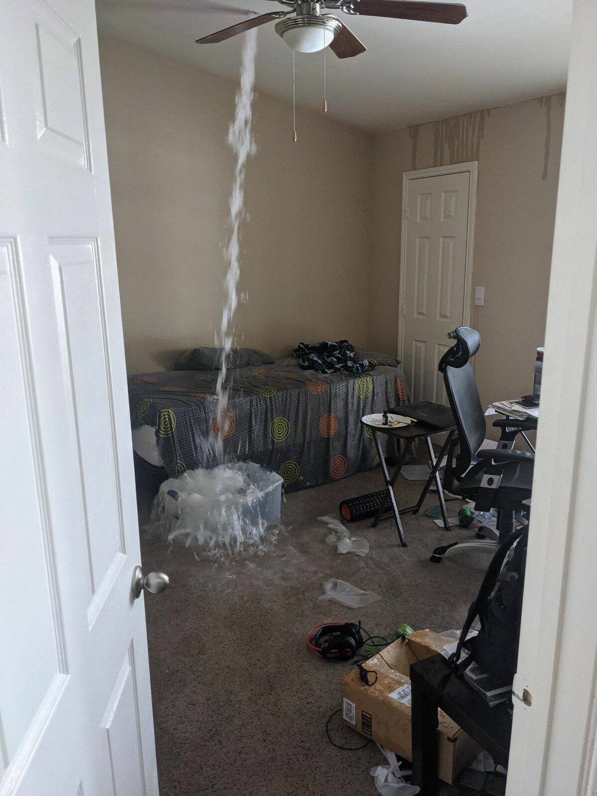 Daily Pictures. Part 1 (80 pics)