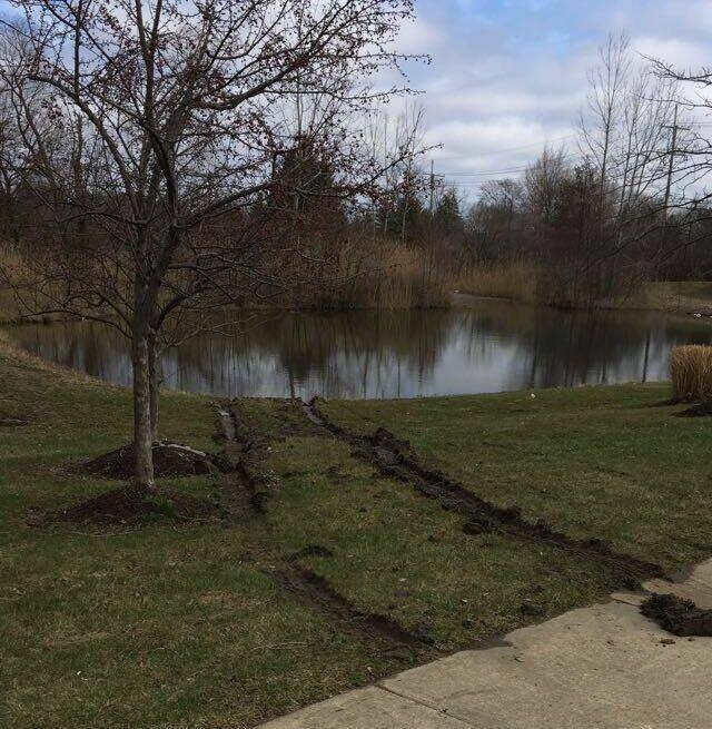 Daily Pictures. Part 1 (80 pics)