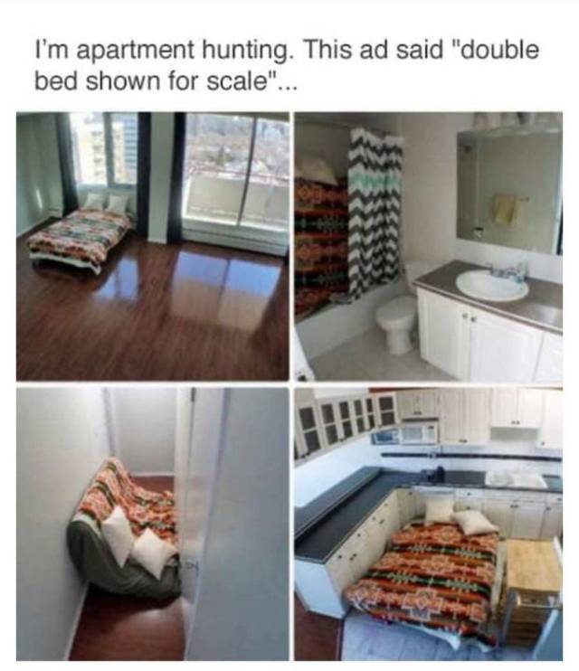 Daily Pictures. Part 2 (79 pics)