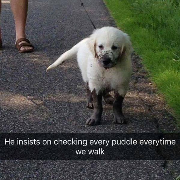 Daily Pictures. Part 2 (79 pics)