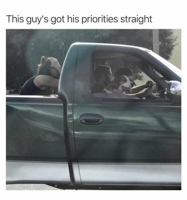 Daily Pictures. Part 2 (79 pics)