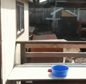 Acid GIFs, August 28 (25 gifs)